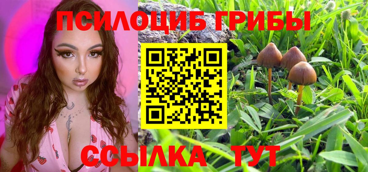 Сухой Лог  Галлюциногенные грибы мицелий  Вход с VPN  Псилоцибиновые грибы Magic Shrooms 